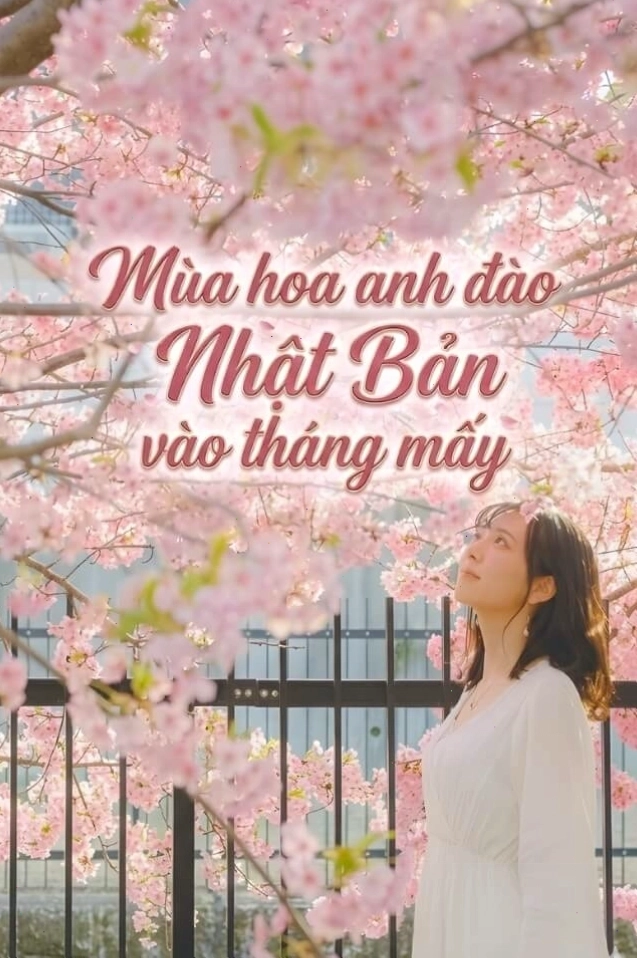 Mùa hoa anh đào Nhật Bản nở vào tháng mấy