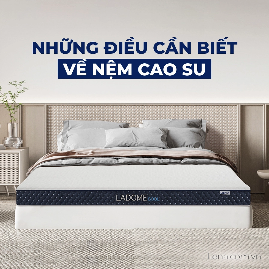 Nệm cao su non: Chọn lựa hoàn hảo cho giấc ngủ êm ái