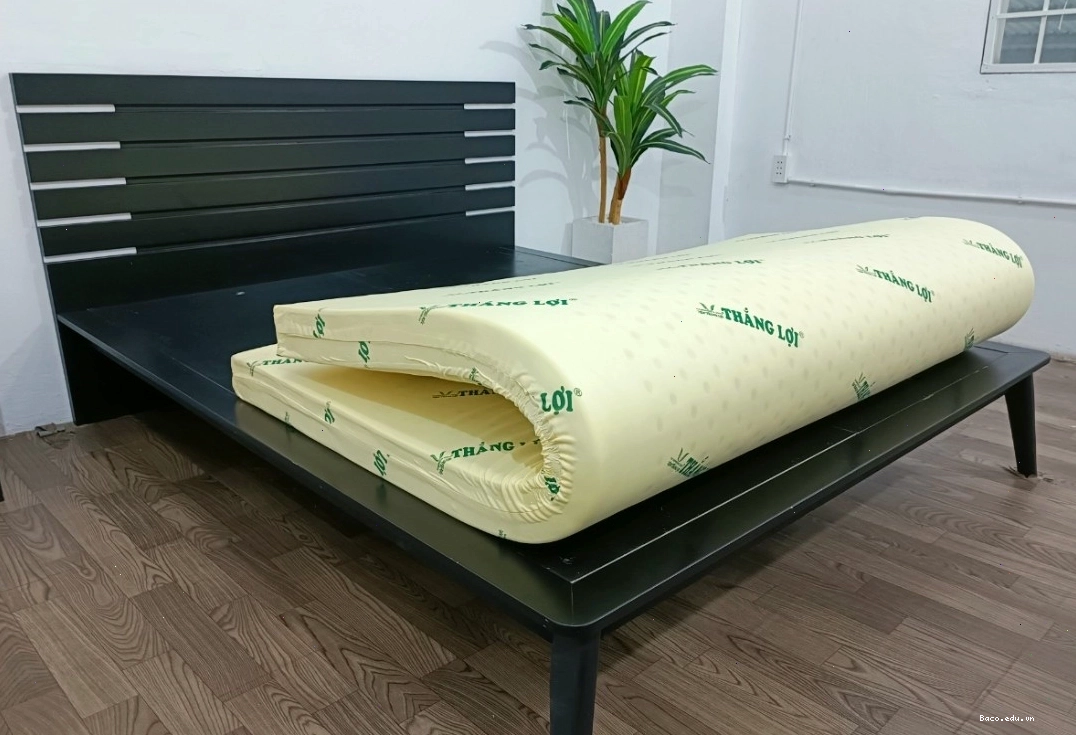 Nệm cao su non Thắng Lợi chất lượng cao