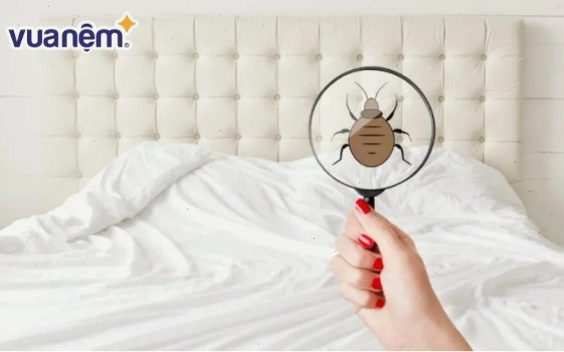 Nhận diện rệp giường qua lớp vỏ lột xác