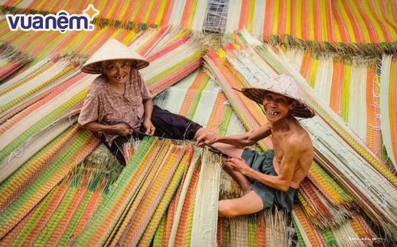 Nhiều làng nghề làm chiếu cói tại Việt Nam như làng dệt Bàn Thạch, Chiếu Hới, Nga Sơn