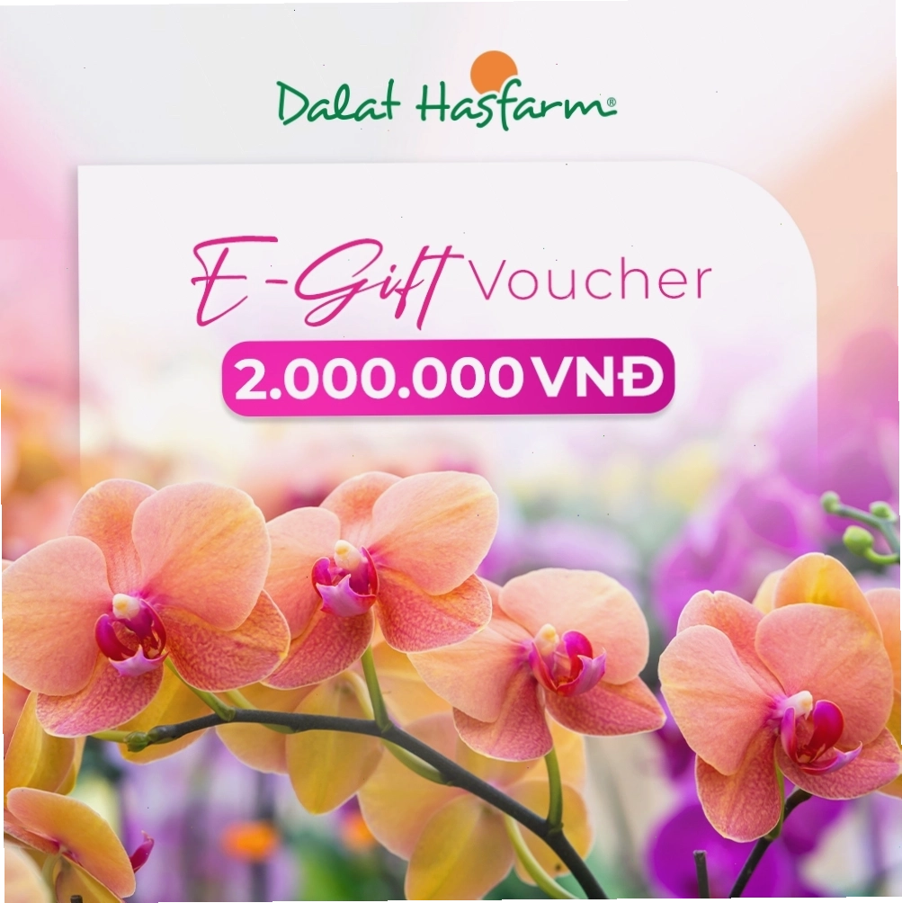 Phiếu quà tặng điện tử Dalat Hasfarm trị giá 2.000.000đ