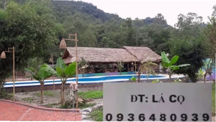 Quá trình thi công nhà mái lá cọ, tạo nên không gian xanh mát
