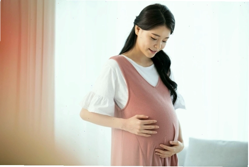 Rau tần dày lá được phơi khô để sử dụng lâu dài