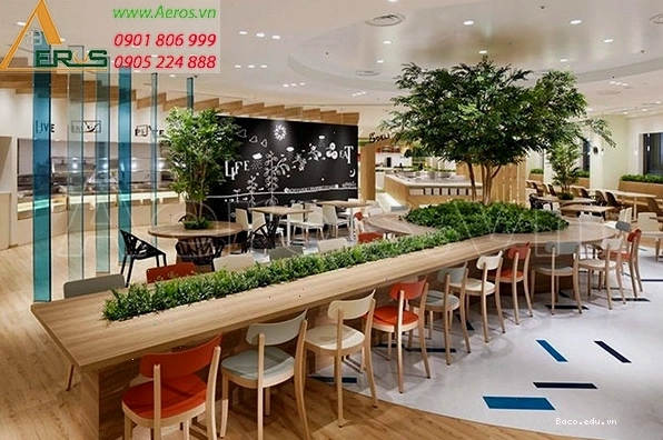 Setup quán cafe hòa mình vào thiên nhiên