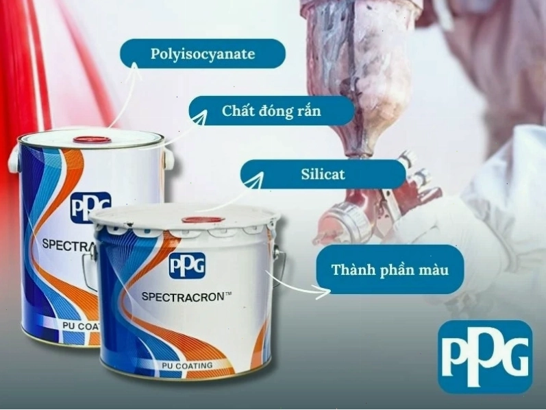 Sơn PU được cấu tạo từ 4 thành phần gồm chất kết dính (polyisocyanate), chất đóng rắn, silicat và thành phần màu