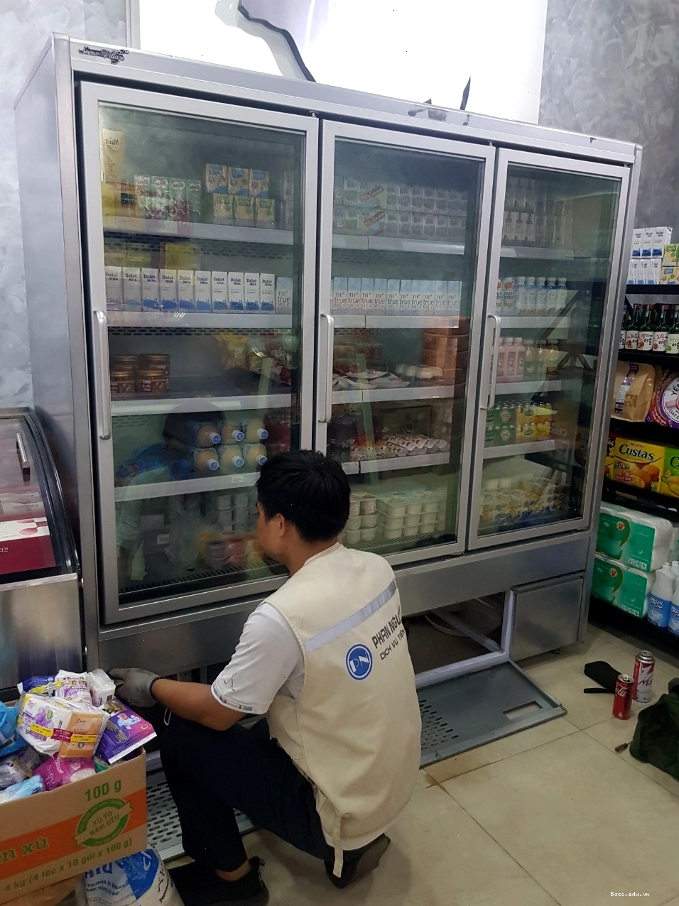 Sửa chữa tủ mát chuyên nghiệp và hiệu quả