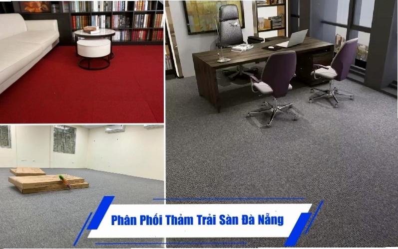 Thảm trải sàn màu xanh navy sang trọng, phù hợp phòng khách hiện đại