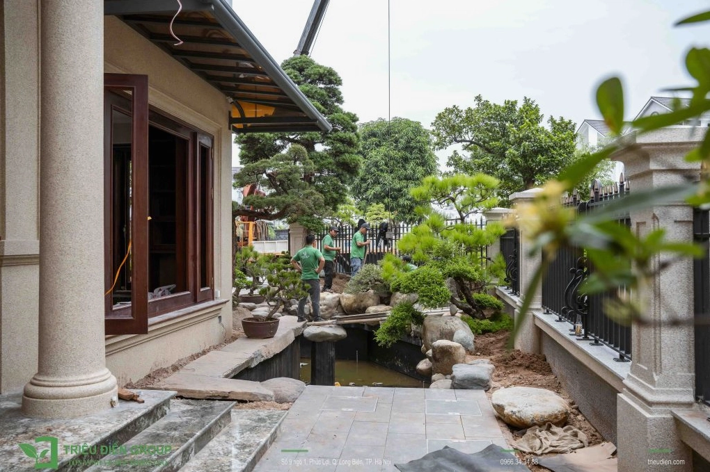 Thi Công Sân Vườn Chuyên Nghiệp: Bí Quyết Sở Hữu Không Gian Xanh Mát