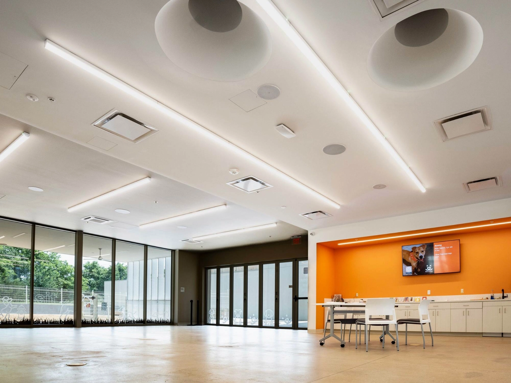 Thi công Showroom Chuyên nghiệp: Bí quyết tạo dựng không gian ấn tượng và hiệu quả
