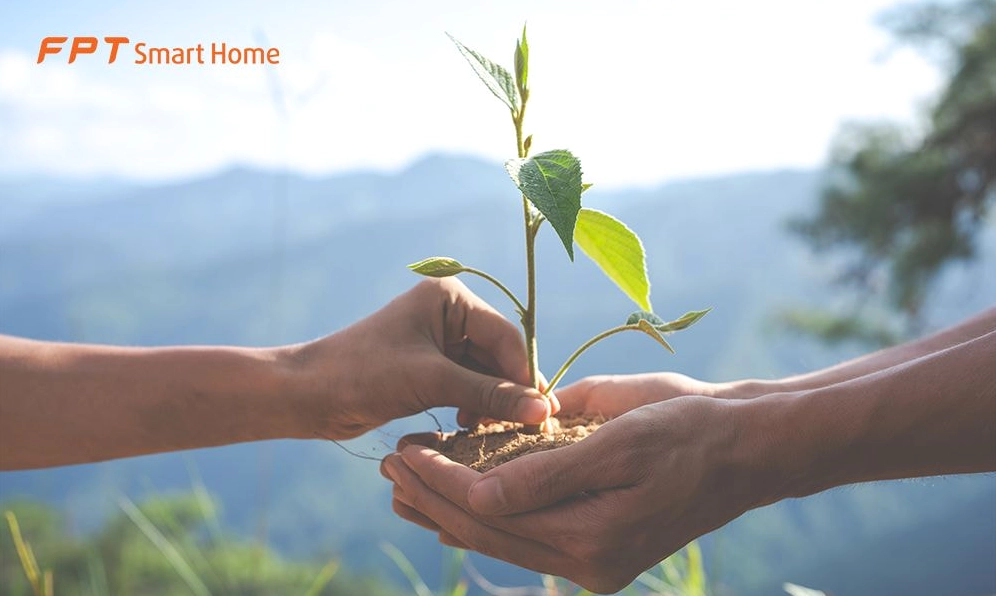 Thiết Bị Tiết Kiệm Điện: Sự Thật Đằng Sau Các Quảng Cáo 'Thần Kỳ'