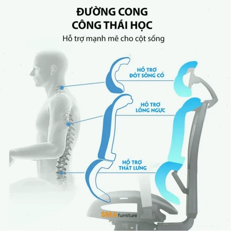 Thiết kế độc đáo của phần lưng ghế công thái học, ôm sát cột sống