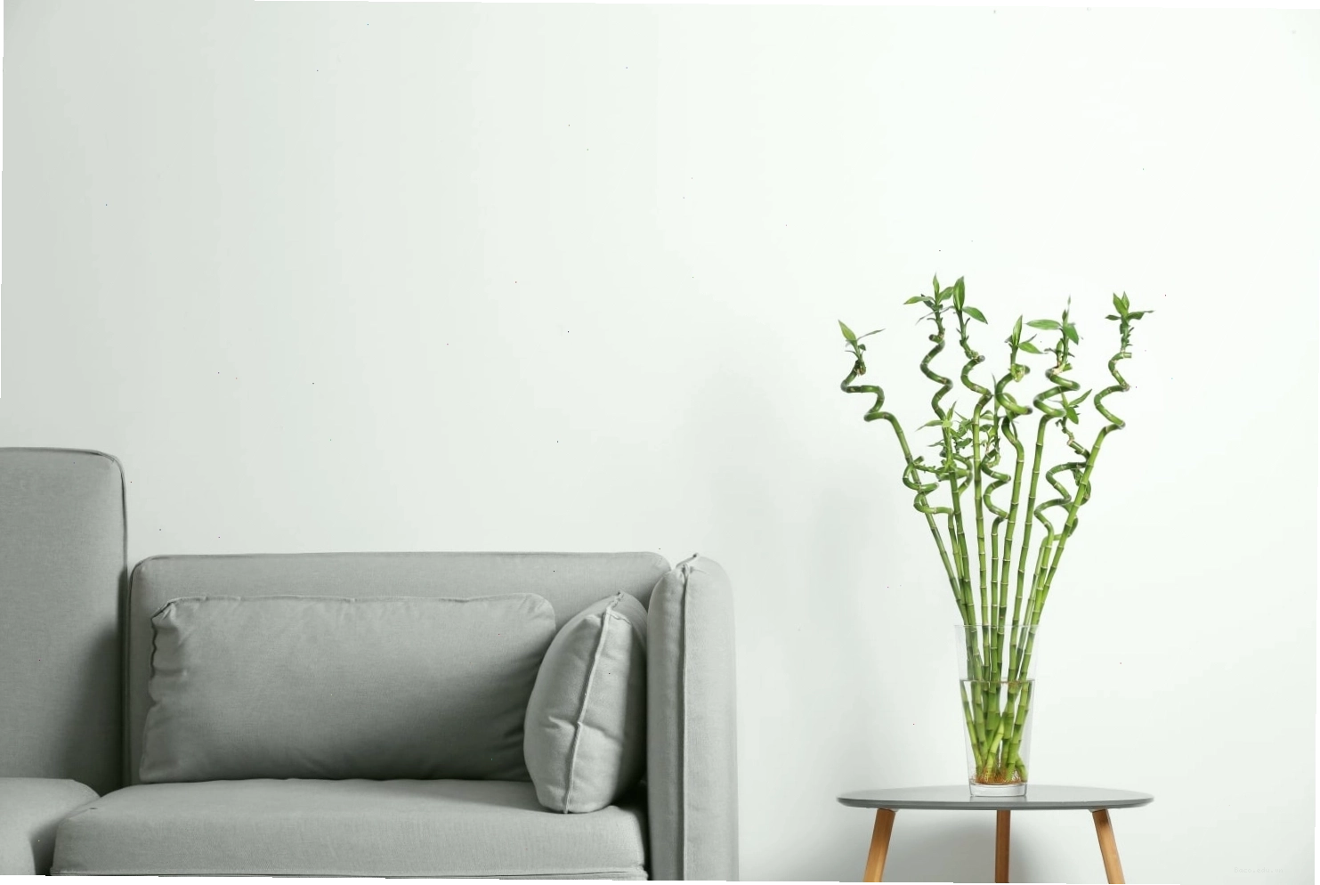 Thiết kế nội thất sử dụng tre, mang lại yếu tố Mộc theo nguyên tắc Feng Shui