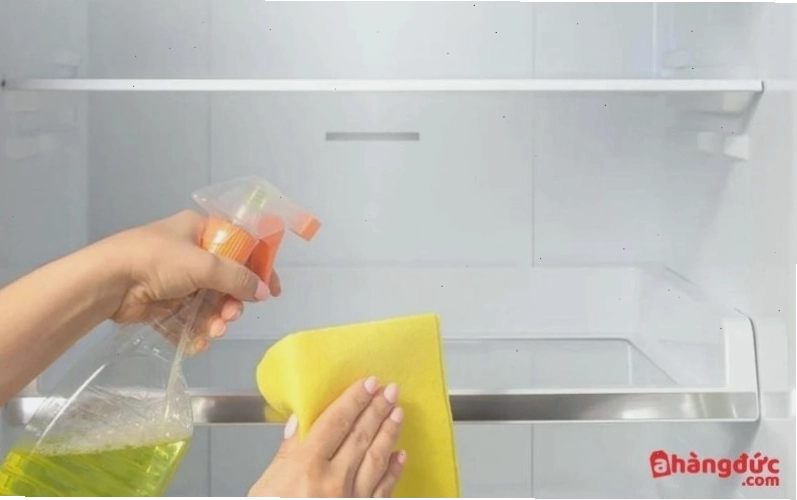 Tiến hành vệ sinh bên trong tủ lạnh