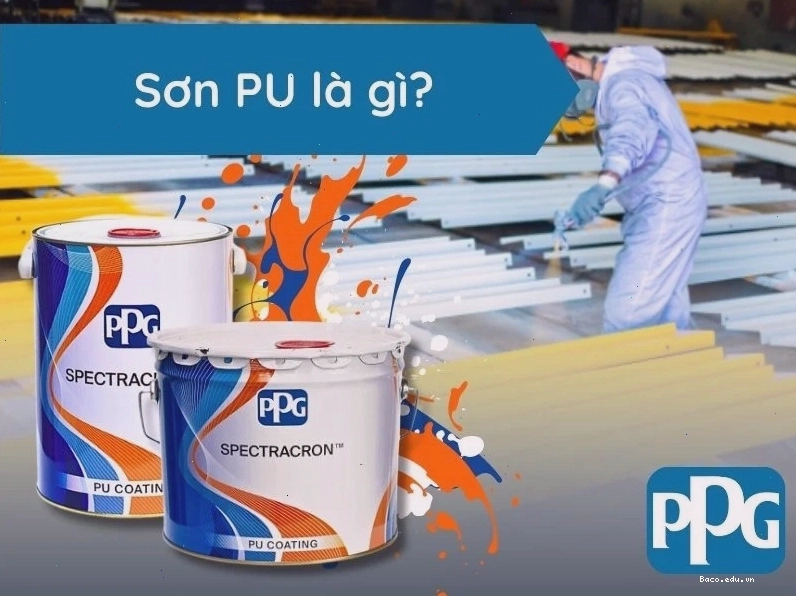 Tìm hiểu về định nghĩa sơn pu là gì Các loại sơn đang phổ biến trên thị trường và tính ứng dụng cụ thể cho từng loại
