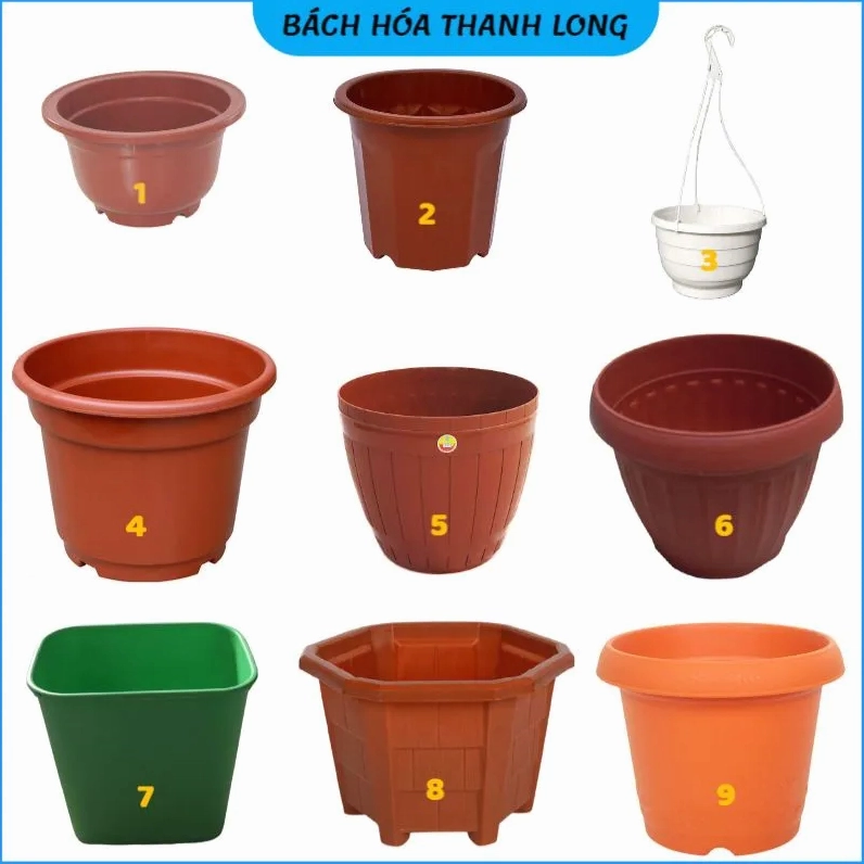 Tổng hợp các mẫu chậu hoa đẹp và ý nghĩa