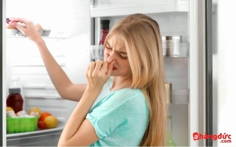 Tủ lạnh xuất hiện mùi hôi là dấu hiệu cho thấy bạn cần vệ sinh tủ lạnh