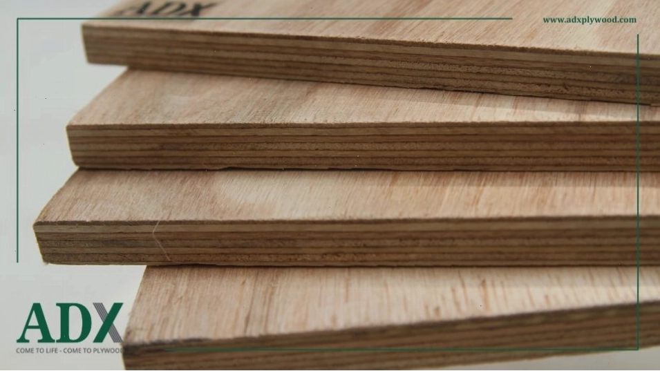 Ván ép plywood với nhiều kích thước khác nhau