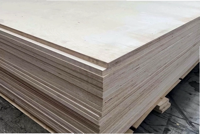 Ván Plywood gỗ bạch dương