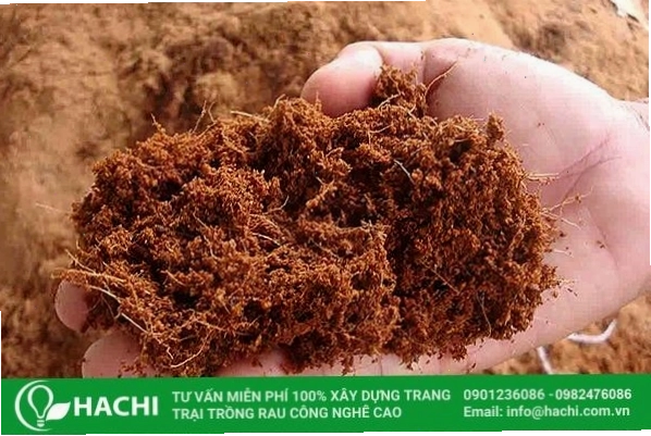 Xơ dừa là một loại giá thể được sử dụng phổ biến trong nông nghiệp